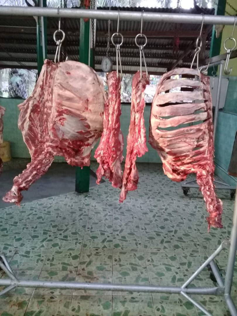 daging segar