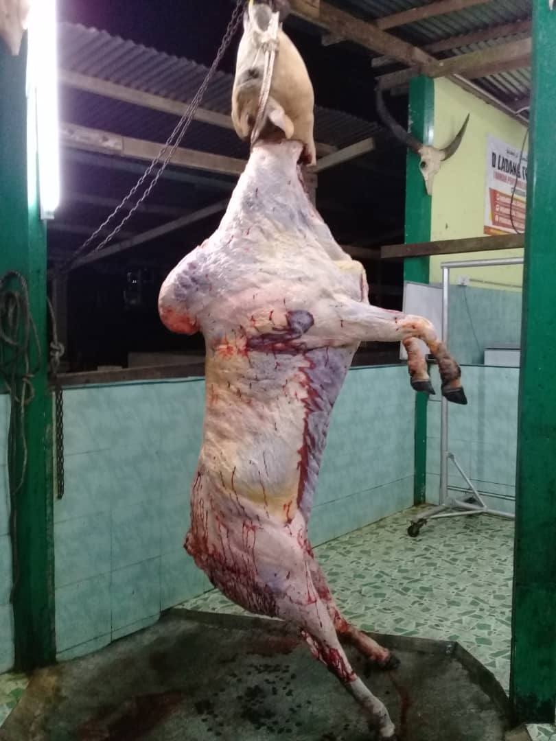 daging segar