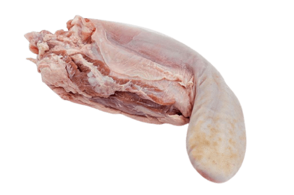 lidah