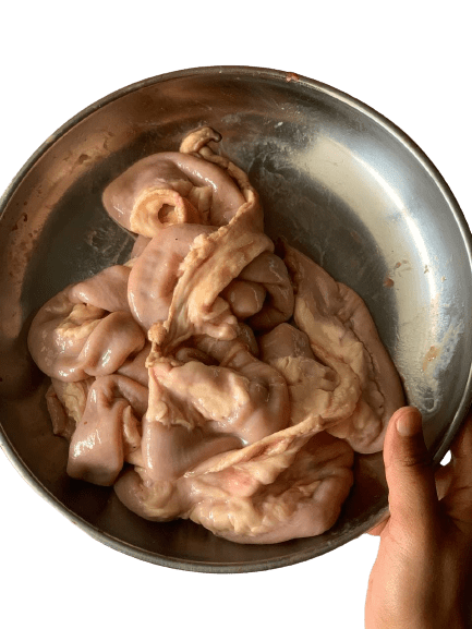 perut muda