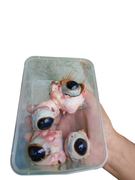 Mata Lembu Tempatan (Local Beef Eye)