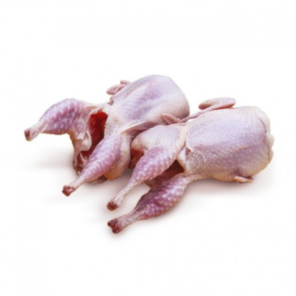 Burung Puyuh